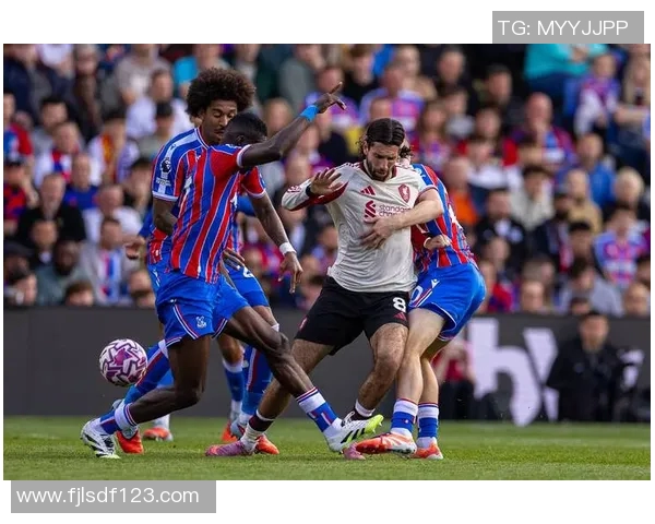 水晶宫战术体系优化研究与实践探索提升球队竞争力的有效策略