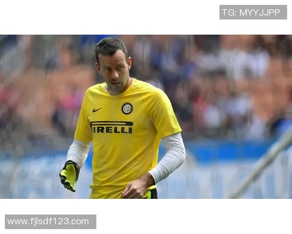 汉达诺维奇：挑战足球界传奇，登顶巅峰之路